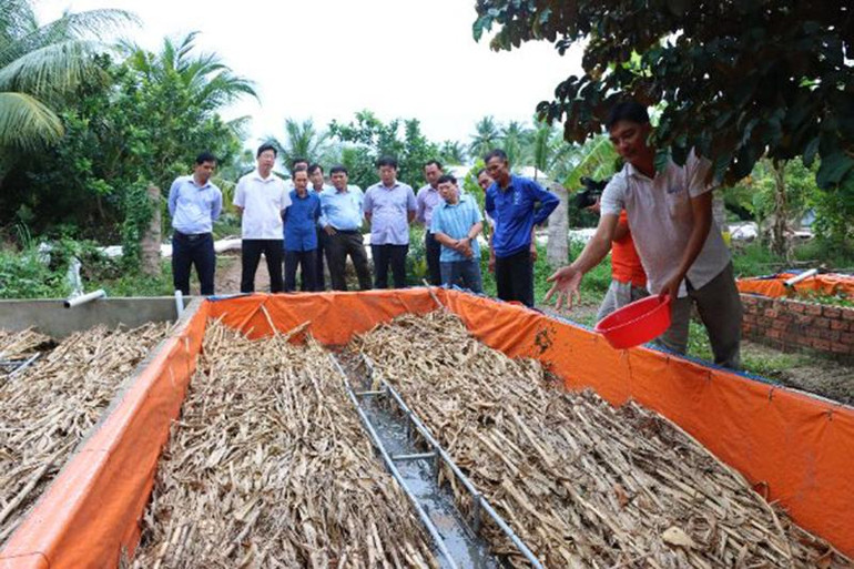 Đoàn công tác thăm mô hình nuôi lươn tại xã Thường Phước 1. Đoàn công tác thăm mô hình nuôi lươn tại xã Thường Phước 1.