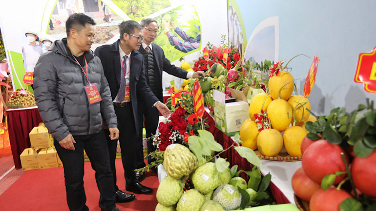 Các đại biểu thăm quan gian hàng OCOP của huyện Lục Nam. Các đại biểu thăm quan gian hàng OCOP của huyện Lục Nam.