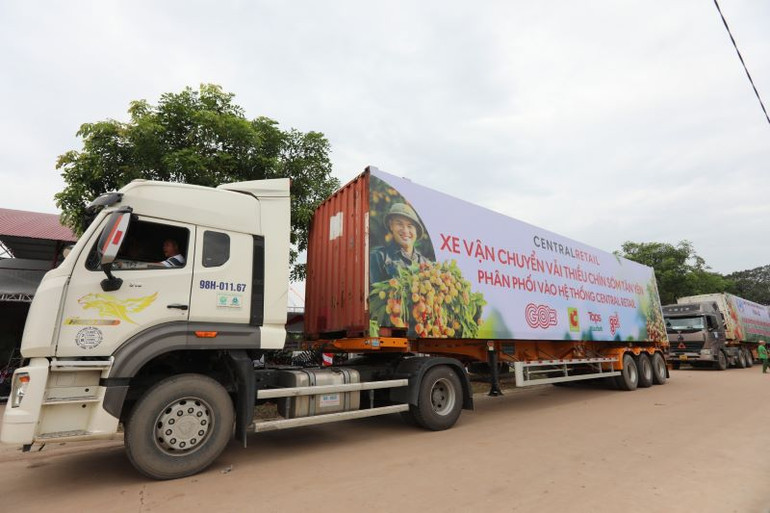 Xe chở vải thiều sớm Tân Yên đưa vào hệ thống siêu thị. Xe chở vải thiều sớm Tân Yên đưa vào hệ thống siêu thị.