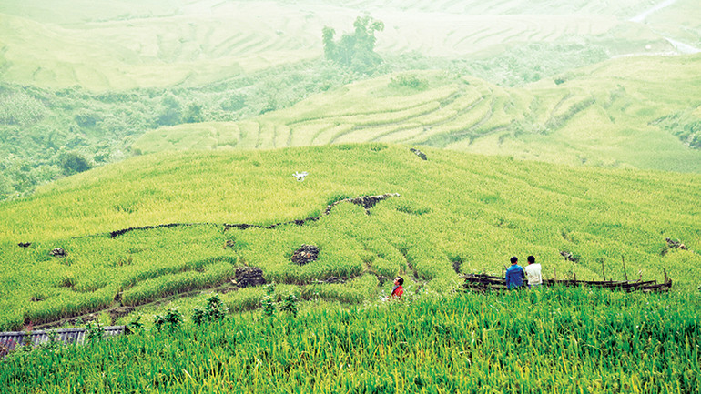 Khung cảnh thơ mộng thu hút du khách.