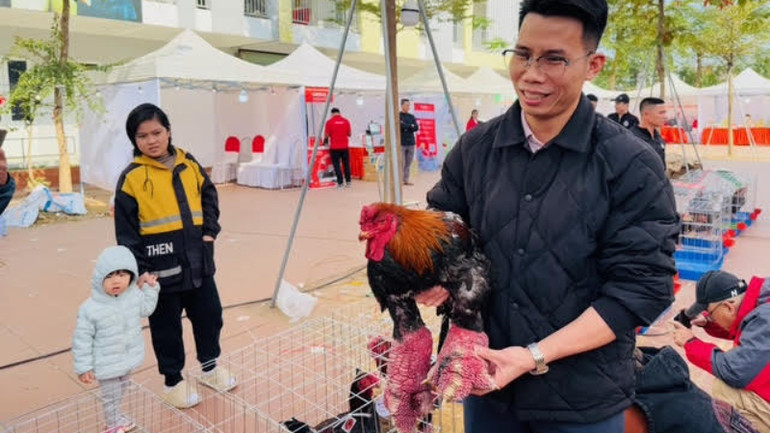 Nhiều du khách tỏ ra phấn khích và đề nghị được chụp ảnh với các thí sinh gà. Nhiều du khách tỏ ra phấn khích và đề nghị được chụp ảnh với các thí sinh gà.