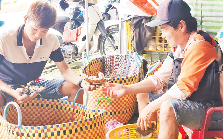 Chợ "đấu giá cua" cạnh dốc cầu Vĩnh Thuận thường xuyên có hơn 40 thương lái đến mua cua của nông dân. Chợ "đấu giá cua" cạnh dốc cầu Vĩnh Thuận thường xuyên có hơn 40 thương lái đến mua cua của nông dân.