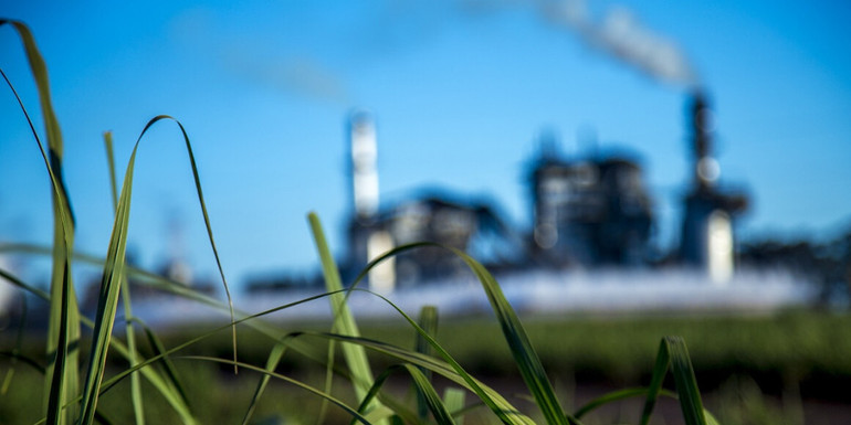 Các Công ty đa quốc gia như Nestle, Pepsi, Coca Cola, Unilever… đều có nhu cầu lớn về nguồn đường tinh luyện để làm nguyên liệu đầu vào đáp ứng sản xuất công nghiệp cho ra các sản phẩm chất lượng cao Các Công ty đa quốc gia như Nestle, Pepsi, Coca Cola, Unilever… đều có nhu cầu lớn về nguồn đường tinh luyện để làm nguyên liệu đầu vào đáp ứng sản xuất công nghiệp cho ra các sản phẩm chất lượng cao