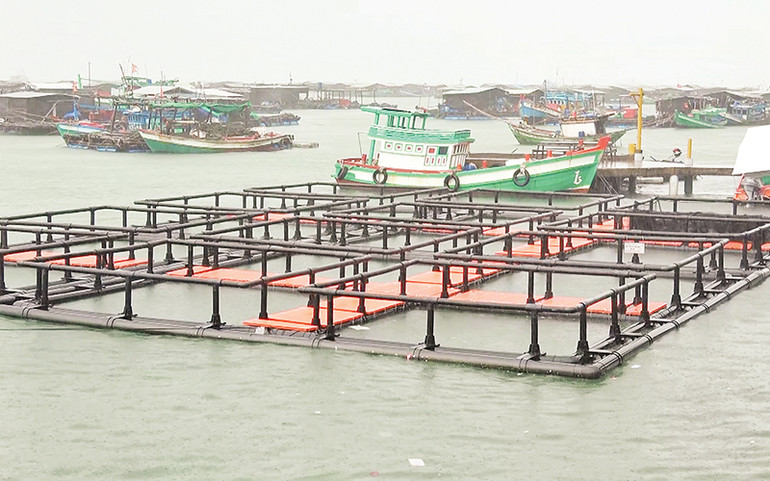 Mô hình nuôi cá trên biển bằng lồng nhựa HDPE.