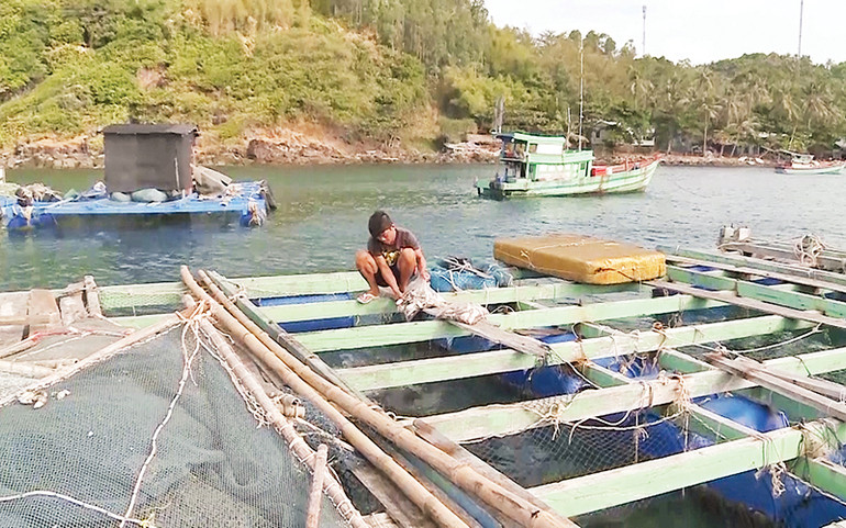 Lồng bè nuôi cá của một hộ dân ở xã Hòn Tre, huyện Kiên Hải.