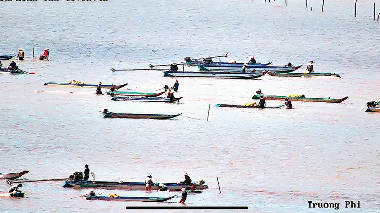 Nhiều người dân đến khai thác nghêu giống tại vùng ven biển thuộc Vườn Quốc gia Mũi Cà Mau.