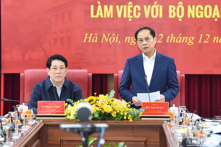 Phó Thủ tướng, Bộ trưởng Ngoại giao Bùi Thanh Sơn phát biểu tại buổi làm việc.