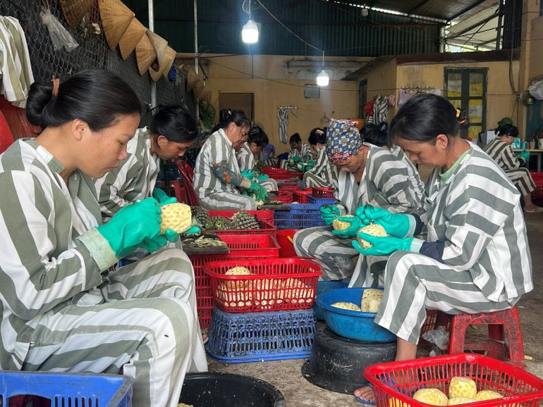 Các phạm nhân chưa được đề nghị xét đặc xá tiếp tục phấn đấu học tập, cải tạo tốt. Các phạm nhân chưa được đề nghị xét đặc xá tiếp tục phấn đấu học tập, cải tạo tốt.