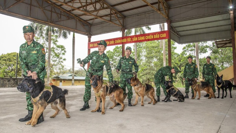 Các huấn luyện viên và chó nghiệp vụ trước giờ lên đường. Các huấn luyện viên và chó nghiệp vụ trước giờ lên đường.