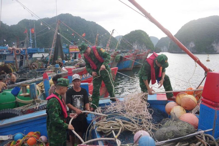 Cán bộ, chiến sĩ Hải đoàn Biên phòng 38 (Quảng Ninh) giúp ngư dân chằng néo tàu thuyền tránh bão.