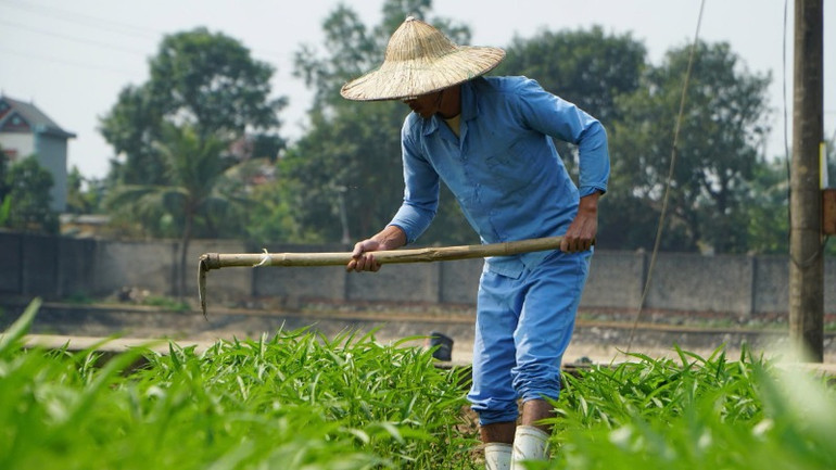 Tìm lại giá trị bản thân trong lao động.