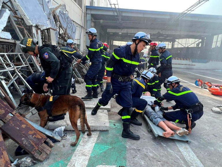Chó nghiệp vụ tham gia diễn tập. Chó nghiệp vụ tham gia diễn tập.