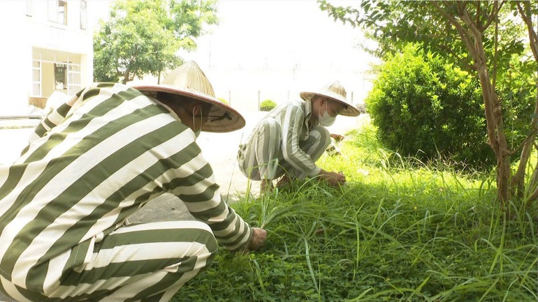 Yên tâm học tập, cải tạo đến những ngày cuối cùng trước khi công bố đặc xá.