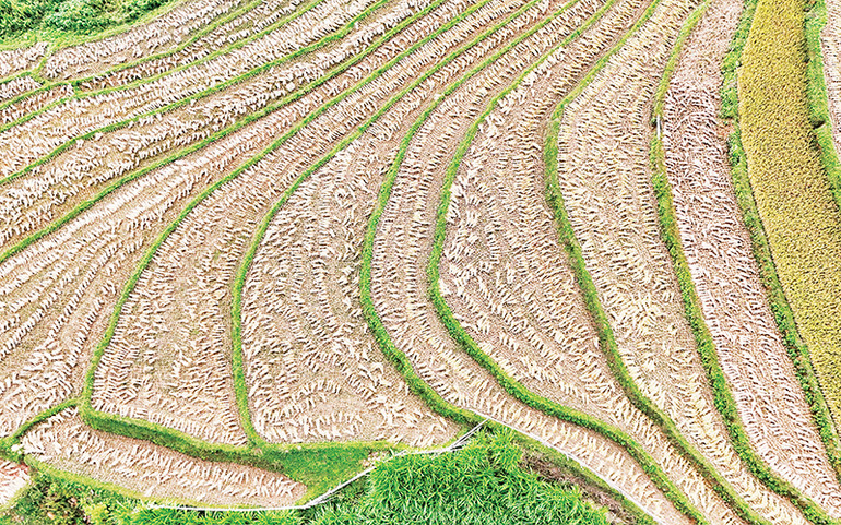 Ruộng bậc thang huyện Bắc Hà sau hoàn lưu bão số 3.