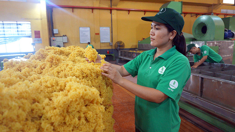 Công nhân chế biến mủ cao-su tại Nhà máy chế biến An Lộc (Công ty TNHH một thành viên Tổng công ty Cao-su Đồng Nai).