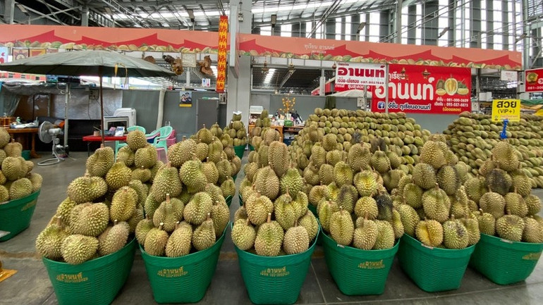 Thái Lan đẩy mạnh nhập khẩu sầu riêng, do hạn hán khiến sản lượng giảm. (Ảnh: ĐINH TRƯỜNG)