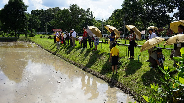 Các nhà báo và nhà ngoại giao quốc tế tham quan một trung tâm nghiên cứu lúa gạo ở tỉnh Sakon Nakhon, Thái Lan.