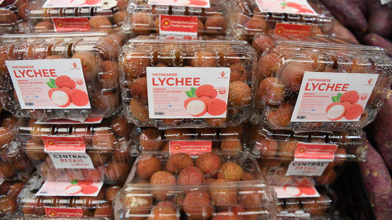 Central Retail giữ giá bán không quá chênh lệch so năm ngoái. (Ảnh: ĐINH TRƯỜNG)