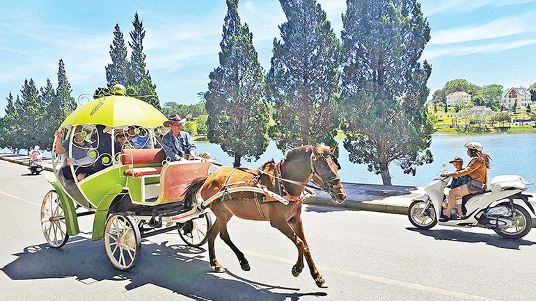 Dịch vụ xe ngựa du ngoạn hồ Xuân Hương-Đà Lạt sẽ tạm ngừng hoạt động từ ngày 1/4.