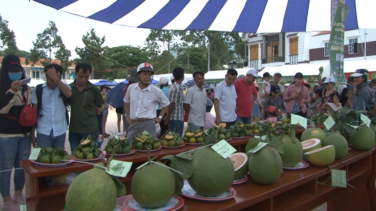Lễ hội trái cây huyện Khánh Sơn với đa dạng sản phẩm. Lễ hội trái cây huyện Khánh Sơn với đa dạng sản phẩm.