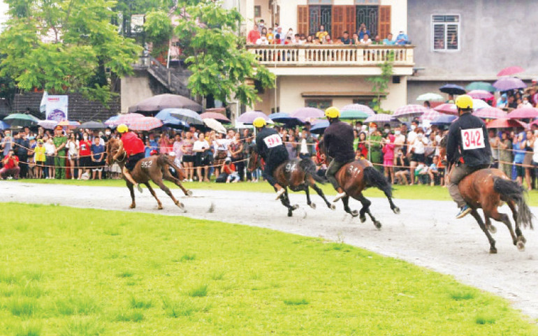 Hàng nghìn người dân và du khách thập phương đến xem, cổ vũ vòng loại cuộc đua ngựa Bắc Hà 2025. Hàng nghìn người dân và du khách thập phương đến xem, cổ vũ vòng loại cuộc đua ngựa Bắc Hà 2025.