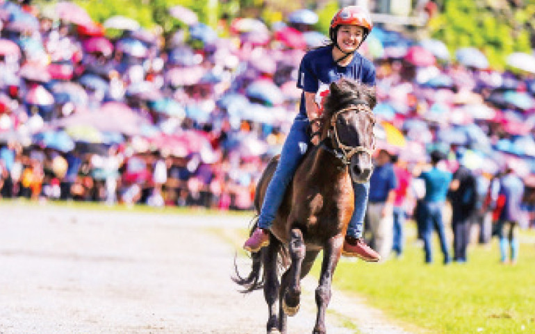 Kịch tính các vòng đua song mã, tam mã tại hội đua ngựa Bắc Hà 2025. Kịch tính các vòng đua song mã, tam mã tại hội đua ngựa Bắc Hà 2025.