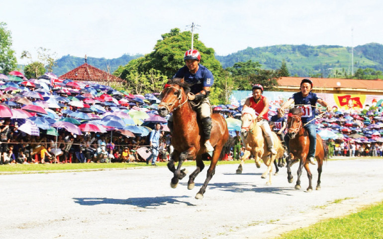Những nài ngựa đang thể hiện sự dẻo dai, kỹ năng điều khiển ngựa khéo léo tại vòng loại cuộc đua ngựa Bắc Hà 2025. Những nài ngựa đang thể hiện sự dẻo dai, kỹ năng điều khiển ngựa khéo léo tại vòng loại cuộc đua ngựa Bắc Hà 2025.