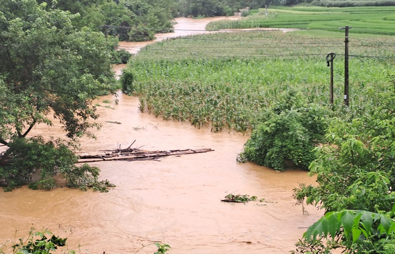 Lũ trên suối gây ngập úng, hư hại hoa màu của người dân, ở xã Bản Cầm-Bảo Thắng. (Ảnh: QUỐC HỒNG)
