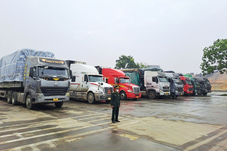 Xe ô-tô chở hàng hóa tập kết ở khu chờ thông quan xuất khẩu sang Hà Khẩu (Trung Quốc). (Ảnh: QUỐC HỒNG)