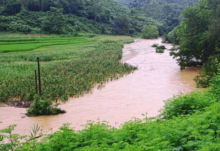Nước dâng cao làm ngập úng, hư hỏng hoa màu, sản xuất của người dân. (Ảnh: QUỐC HỒNG)