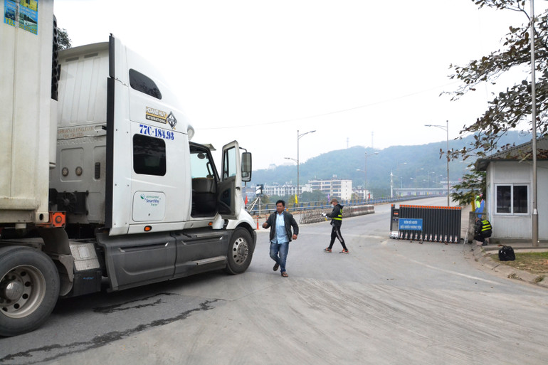 Xe chở thanh long lên cầu Kim Thành xuất sang Hà Khẩu. (Ảnh: Quốc Hồng)