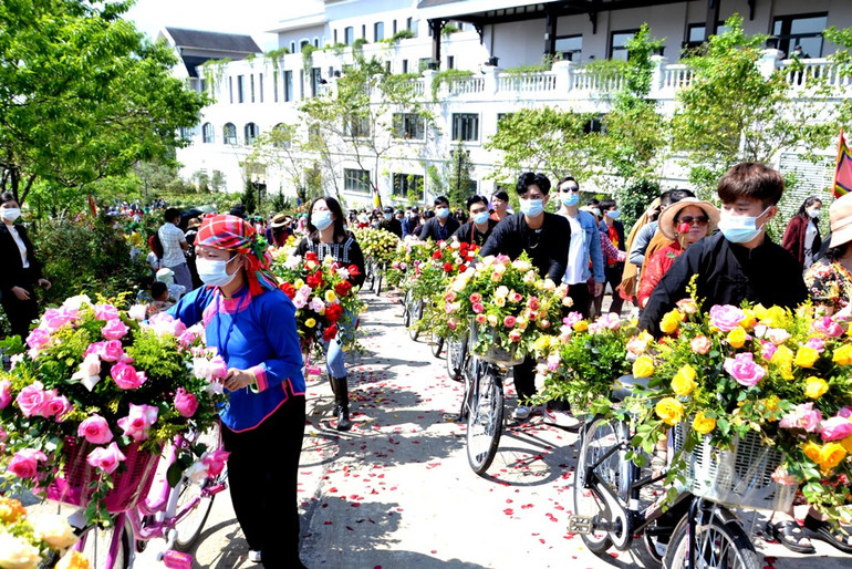 Lễ hội hoa hồng sẽ được tổ chức tại Sa Pa dịp 30/4 và 1/5 tới đây. (Ảnh: QUỐC HỒNG)
