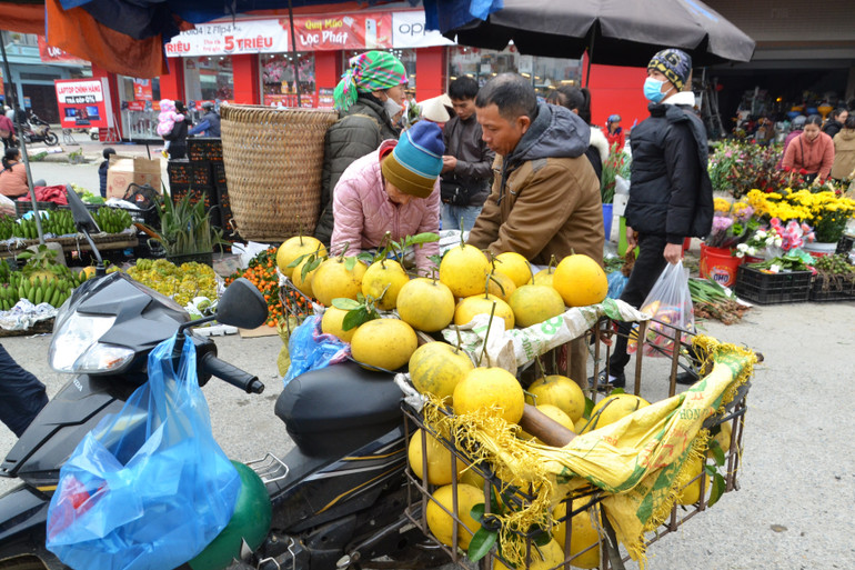 Bưởi vàng vùng cao xuống chợ.
