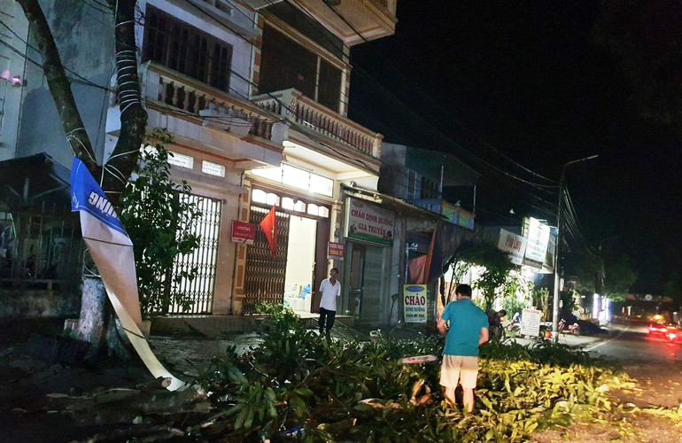 Dông lốc làm gãy đổ nhiều cây xanh ở thị trấn Mường Khương-Lào Cai. (Ảnh: TL)