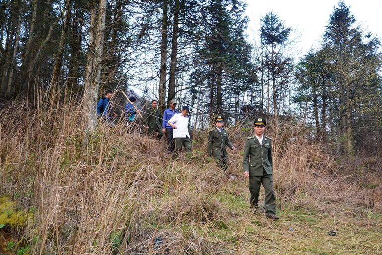 Tăng cường tuần tra để phát hiện sớm, ngăn ngừa xảy ra cháy rừng ở Kiểm lâm Vườn quốc gia Hoàng Liên. (Ảnh: QUỐC HỒNG) Tăng cường tuần tra để phát hiện sớm, ngăn ngừa xảy ra cháy rừng ở Kiểm lâm Vườn quốc gia Hoàng Liên. (Ảnh: QUỐC HỒNG)