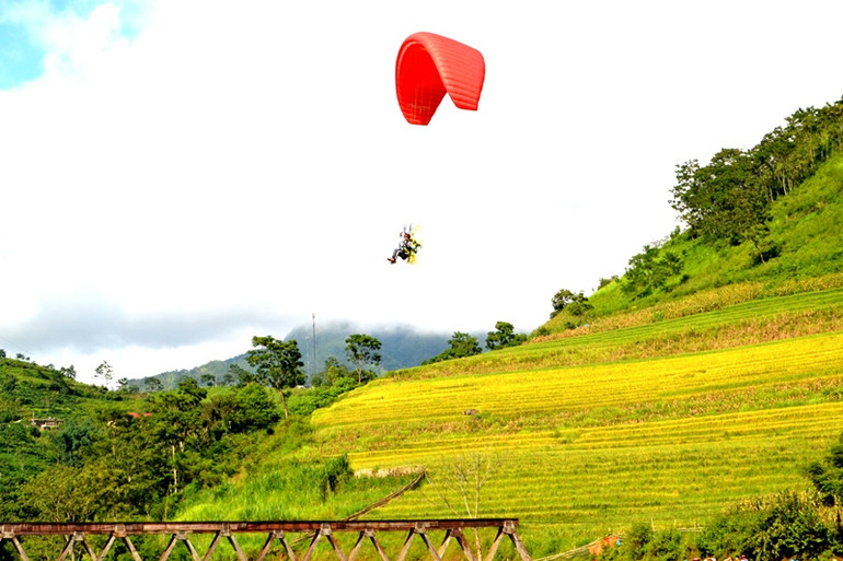 Bay dù lượn trên thảm vàng Mường Hum. (Ảnh: QUỐC HỒNG)