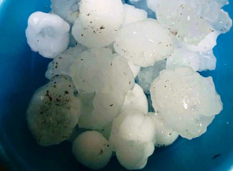 Hạt mưa đá được người dân xếp vào chậu nhựa, có đường kính từ 1,5-3 cm. (Ảnh: T.L) Hạt mưa đá được người dân xếp vào chậu nhựa, có đường kính từ 1,5-3 cm. (Ảnh: T.L)