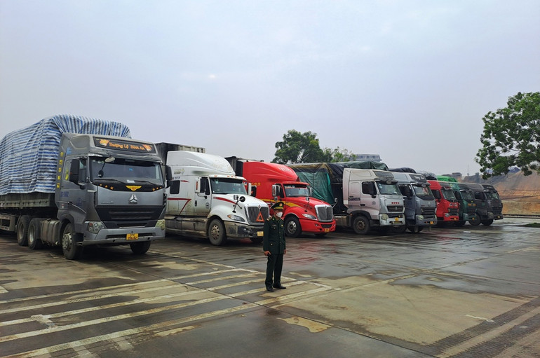 Xe ô-tô chở nông sản xếp hàng trong bãi kiểm hóa chờ thông quan qua Cửa khẩu Kim Thành-Lào Cai. (Ảnh Quốc Hồng)