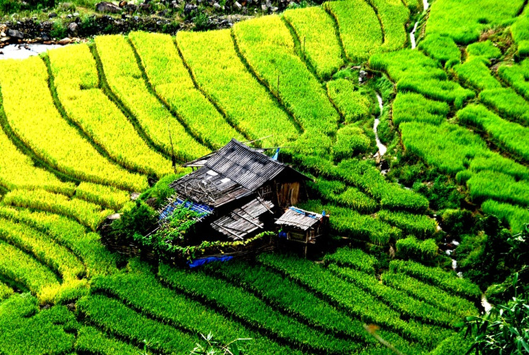 Bao quanh ngôi nhà đẹp như bức tranh. (Ảnh: QUỐC HỒNG)