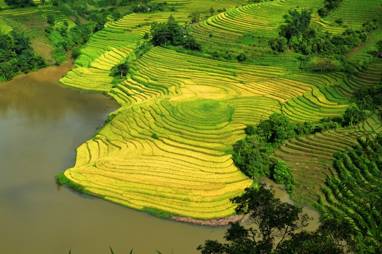 Cận cảnh ruộng bậc thang đẹp mộng mơ nhìn từ trên cao. (Ảnh: QUỐC HỒNG)