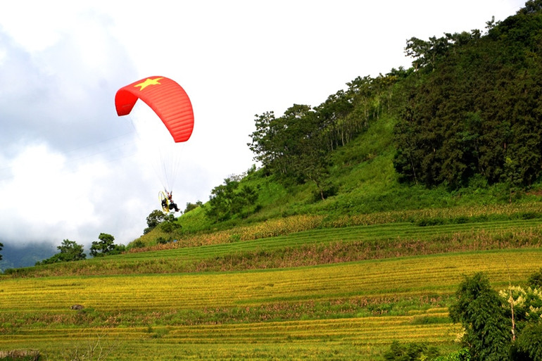 Bay sát thảm vàng ruộng bậc thang. (Ảnh: QUỐC HỒNG)