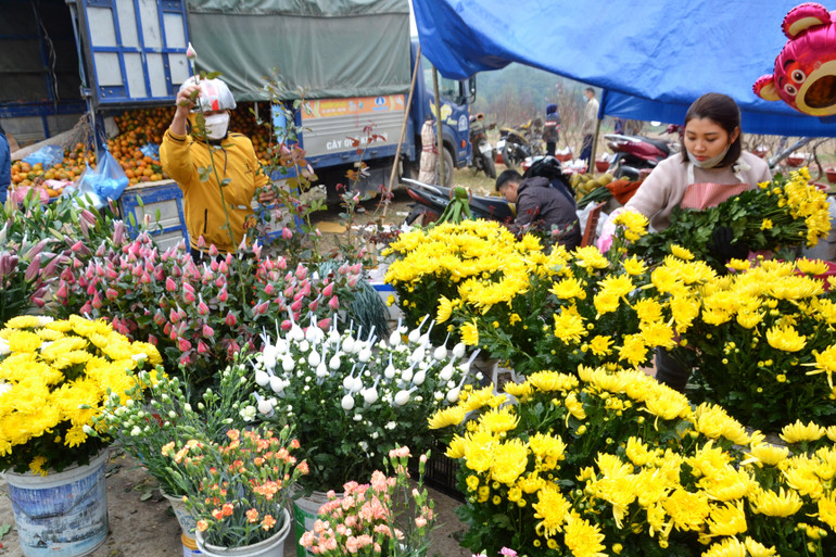 Hoa cúc vàng rực chợ phiên ngày giáp Tết.
