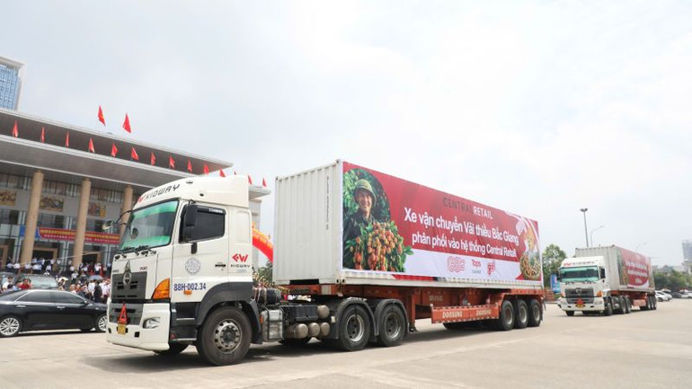 Xe xuất hành tiêu thụ vải thiều tại hội nghị.