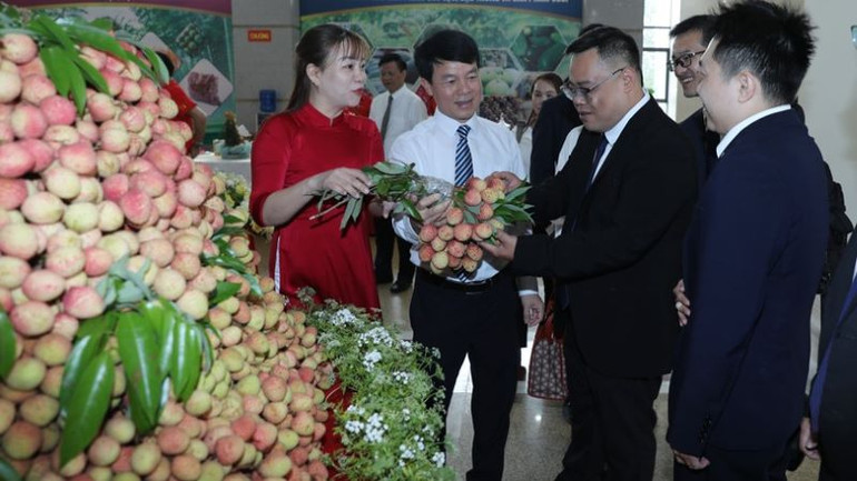 Các đại biểu tham quan gian hàng trưng bày tại hội nghị.