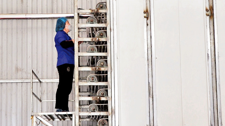 Dây chuyền tráng miến tại cơ sở miến dong Tài Hoan, huyện Na Rì.