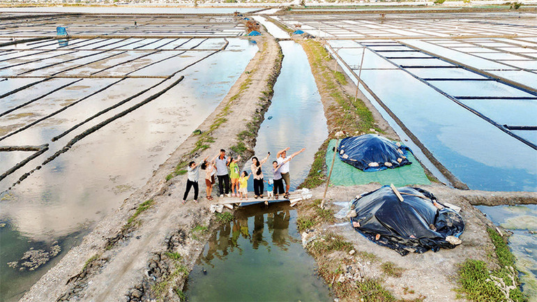 Du khách tham quan đồng muối Sa Huỳnh.