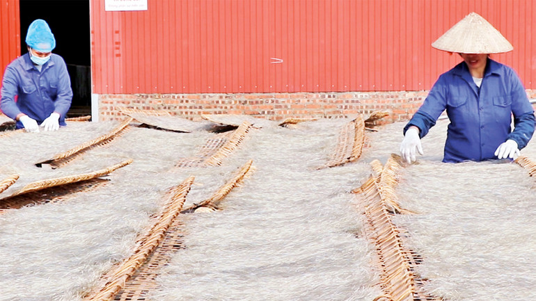 Người dân ở Bắc Kạn phơi miến sau khi tráng trên tấm đan.