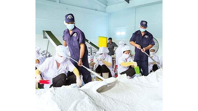 Nhà máy chế biến muối chất lượng cao để xuất khẩu tại Bạc Liêu.