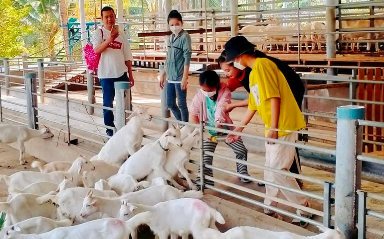 Một điểm du lịch nông nghiệp thu hút du khách tại Tiền Giang.