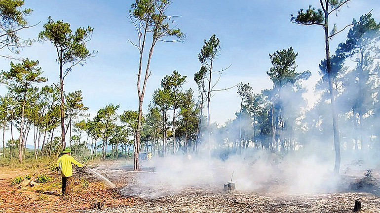 Một điểm phát lửa ở một khu vực rừng thông bị dập tắt nhờ sự ứng phó kịp thời, hiệu quả của mô hình chữa cháy cơ động.